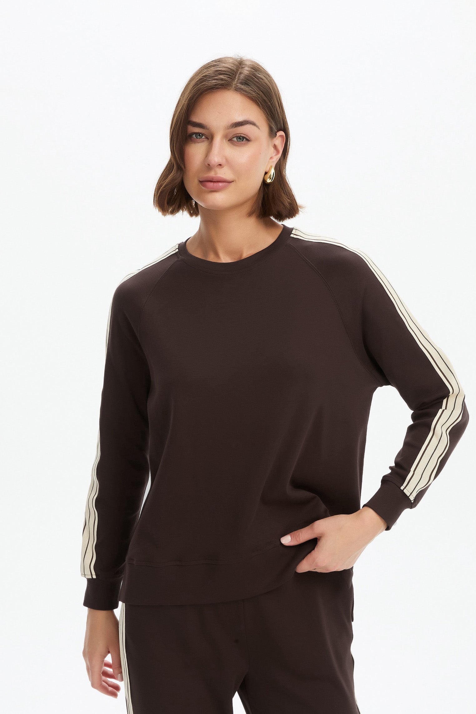 STRIPE SLEEVE SUMMER SWEAT chocolate
