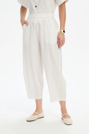 TEXTURED PINSTRIPE BARREL PANT